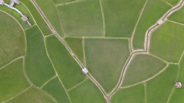 山田梯田鸟瞰图视频素材