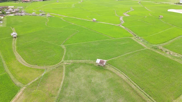 山田梯田鸟瞰图视频素材