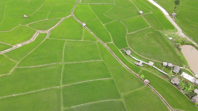 山田梯田鸟瞰图视频素材