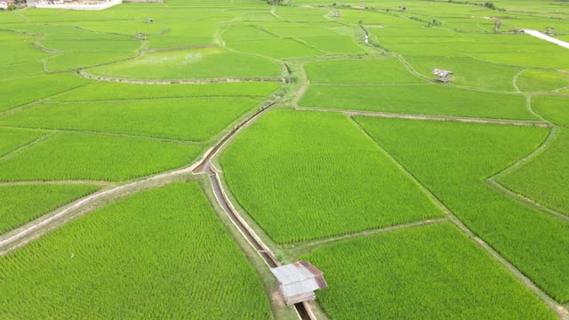 山田梯田鸟瞰图视频素材