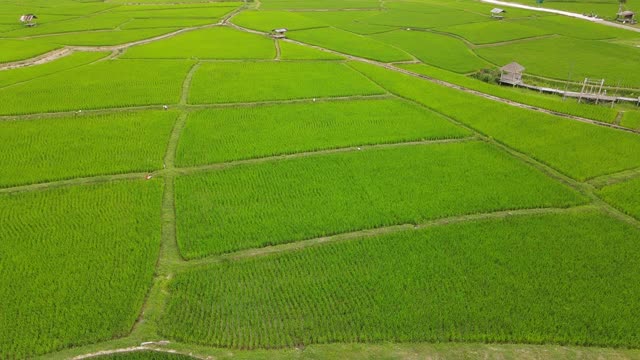 山田梯田鸟瞰图视频素材