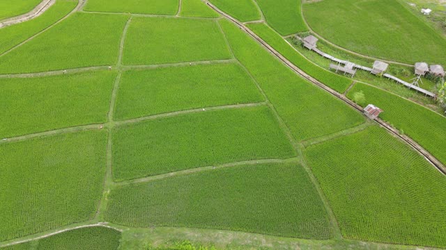 山田梯田鸟瞰图视频素材