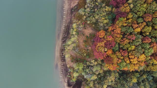 旋转缩小直接在秋季湖海岸线上视频素材