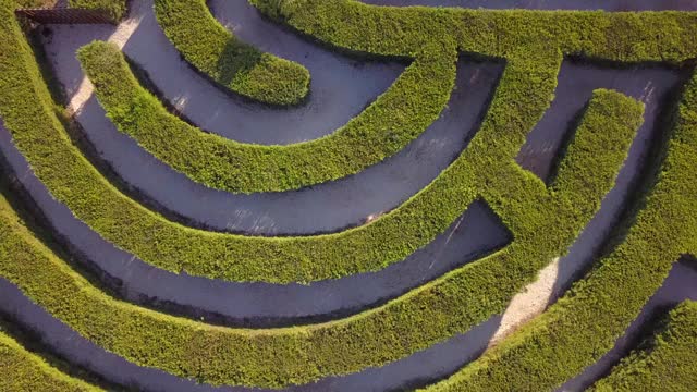 塞浦路斯阿伊纳帕植物园灌木丛迷宫视频下载