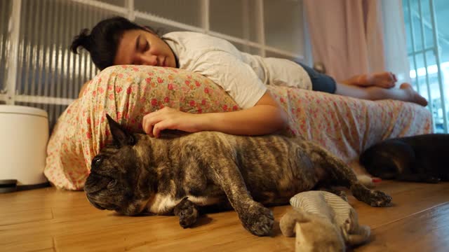 一名亚洲女性在沙发上使用智能手机，旁边躺着一只法国斗牛犬。视频素材