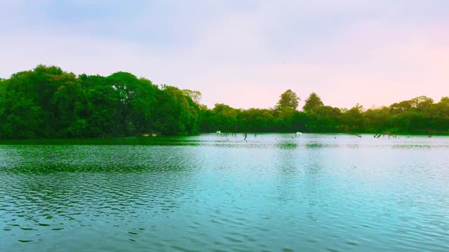 美丽的湖水，绿树和神奇的天空视频下载