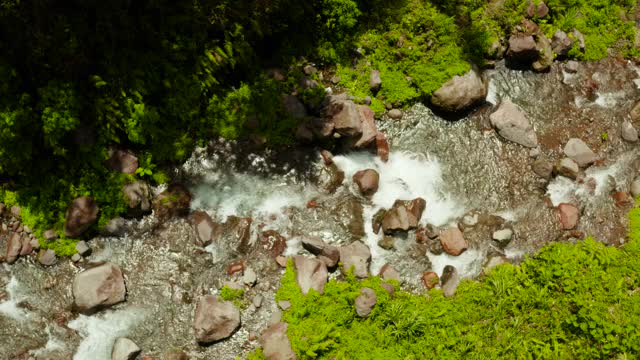 河流在菲律宾卡米圭因的山区丛林中流淌视频素材