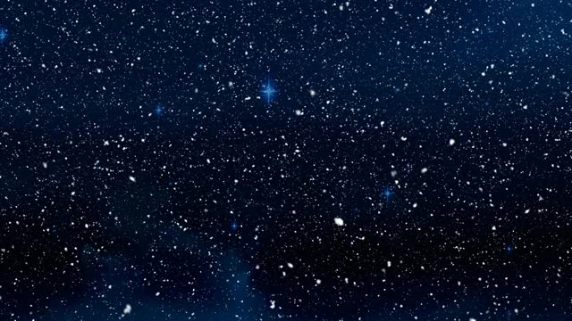 数字动画雪花落在多棵树上的冬季景观对星星视频素材