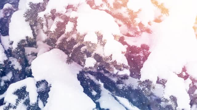 数字动画的亮点对雪花飘落在冬季景观视频素材