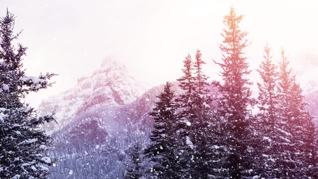 数字动画的亮点对雪花飘落在冬季景观视频素材