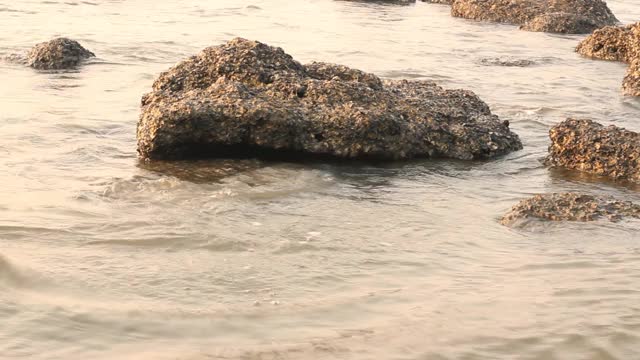 水晶般的水波在珊瑚岩上。蓝色的海放松水波。视频素材