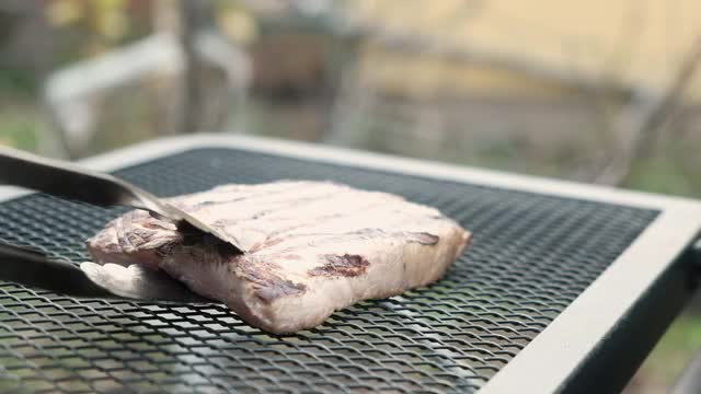 在户外野餐时做肉食午餐。在大自然中烤牛排。视频素材