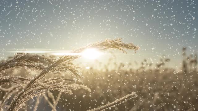 这是一个冬季的场景动画，汽车在积雪覆盖的道路上缓慢行驶，树叶从树上轻轻飘落。视频循环视频素材