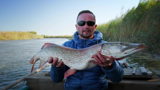 琵琶鱼。渔夫手持战利品梭鱼(Esox lucius)视频素材