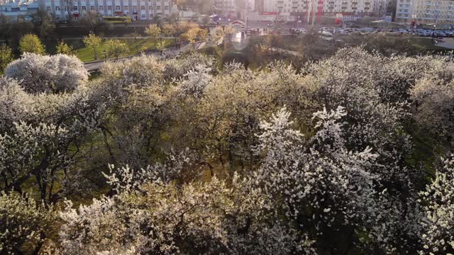 明斯克鸟瞰图视频素材