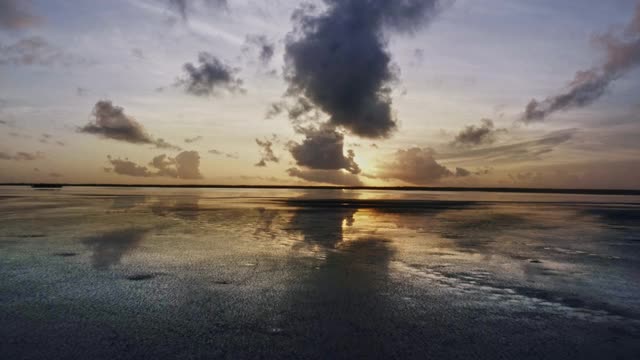 鸟瞰图的海岸泻湖日出与火烈鸟。视频素材