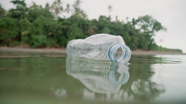 漂浮在绿色水中的塑料瓶视频素材