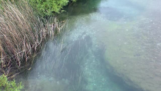 在阿根廷巴塔哥尼亚的山间河流平静的水放松。视频素材