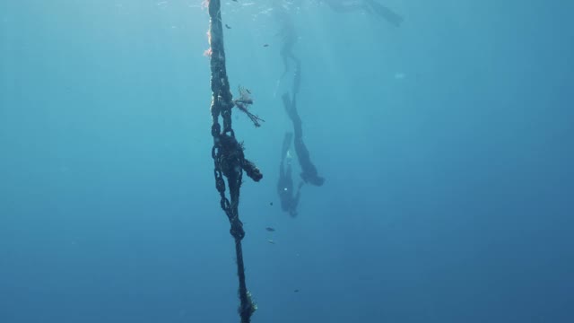 水下视图的自由潜水学生和教练一起潜水到深度视频素材