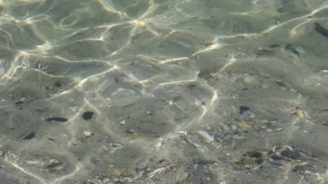 海浪纯海水质地。夏天的背景视频素材