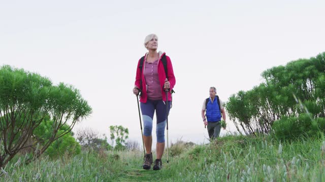 一对老年徒步夫妇背着背包和登山杆在草地上散步。视频素材