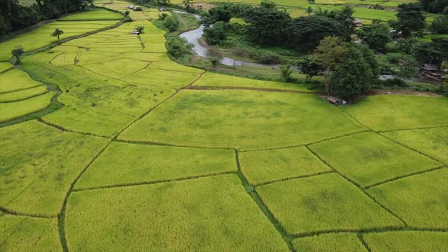 无人机鸟瞰乡村山村的河流和稻田视频素材