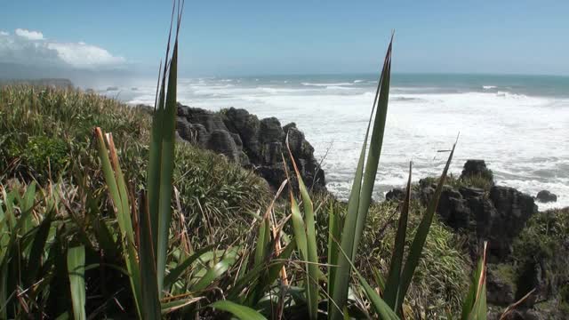 海浪在岩石海岸和山脉新西兰。视频素材