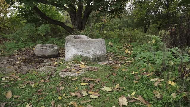 农村宅基地上的一口老水井。在绿草和树木中间的一口废弃的井。视频素材