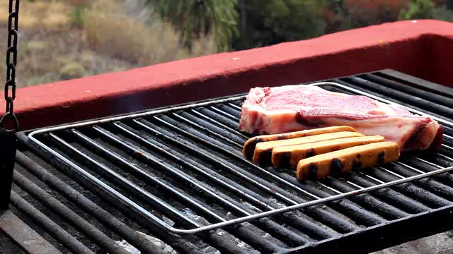 牛肉和素食香肠配烧烤视频素材