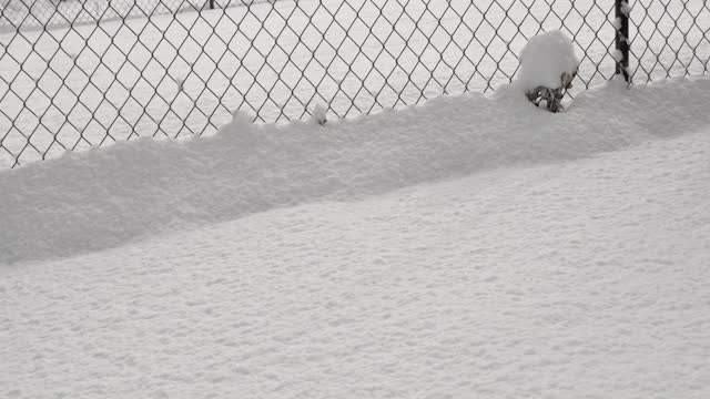 正在从车道或人行道上铲雪的人。视频素材