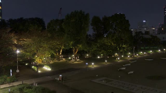 日本东京市中心，东京夜景视频素材