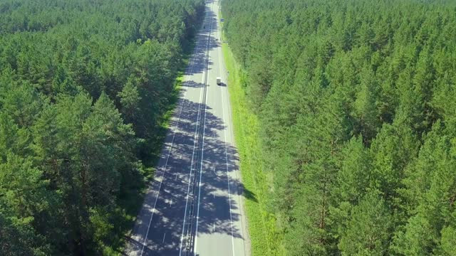 空中飞行:在密林中的高速公路上飞行。马路上过往的汽车和卡车。视频素材