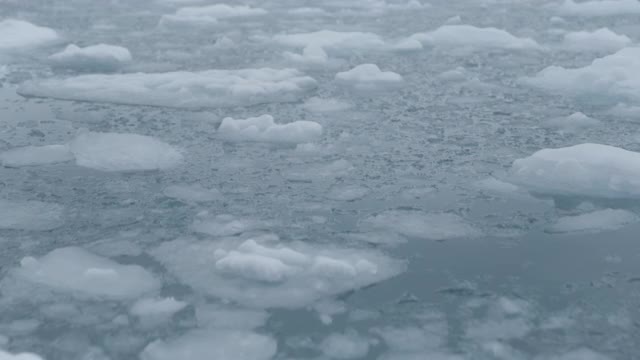 南极洲-漂浮在海洋中的冰视频素材