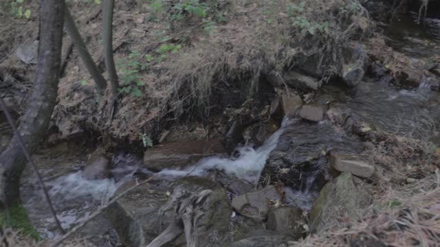 小溪在秋天的森林里视频素材