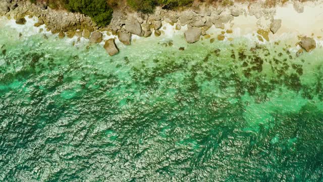 热带海滩和蔚蓝的大海视频下载