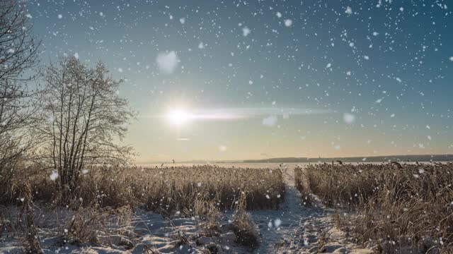 这是一个冬季的场景动画，汽车在积雪覆盖的道路上缓慢行驶，树叶从树上轻轻飘落。视频循环视频素材