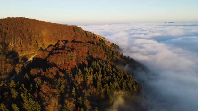 无人机的观点秋季森林和下面的Cloudscape视频素材