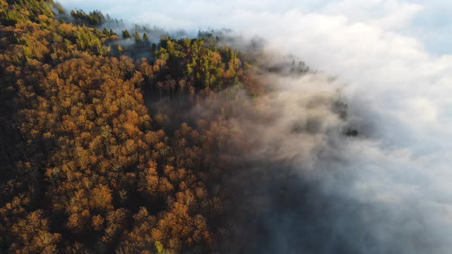 鸟瞰图在多雾的秋天早晨在山视频素材