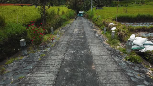 4k无人机库存镜头与绿色稻田与道路的俯视图动态模糊视频素材