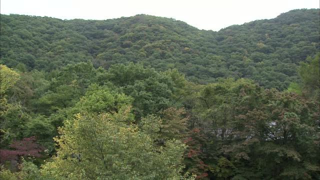 日兴/日本视频素材