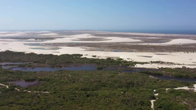 鸟瞰图的海滩靠近森林在Jericoacoara，巴西视频素材