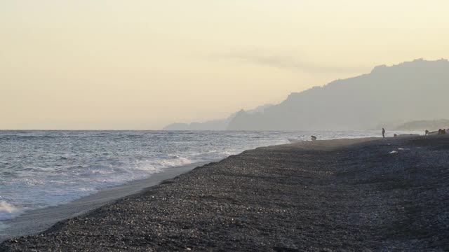 日落时出去钓鱼视频素材