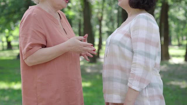 两个面目全非的退休老人在夏季公园吵架。侧面的愤怒的白人妇女大喊大叫和手势的情绪。冲突与误解概念。视频素材