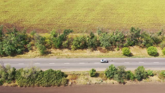 鸟瞰图。高速公路靠近秋天的向日葵田视频素材