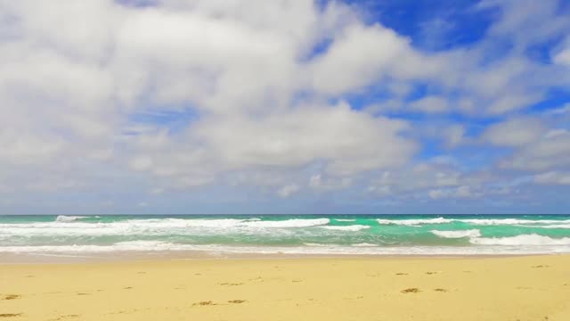 碧蓝的海水和海浪到达金色的沙滩视频素材