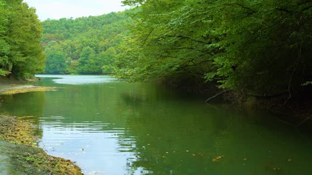 壮丽的自然景观，绿色的植被，树木之间的湖，令人惊叹的湖景在一个雨天，saklıgöl湖，伊斯坦布尔视频素材