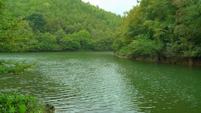 壮丽的自然景观，绿色的植被，树木之间的湖，令人惊叹的湖景在一个雨天，saklıgöl湖，伊斯坦布尔视频素材