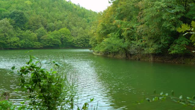 壮丽的自然景观，绿色的植被，树木之间的湖，令人惊叹的湖景在一个雨天，saklıgöl湖，伊斯坦布尔视频素材