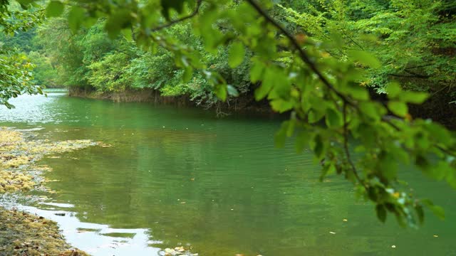 壮丽的自然景观，绿色的植被，树木之间的湖，令人惊叹的湖景在一个雨天，saklıgöl湖，伊斯坦布尔视频素材