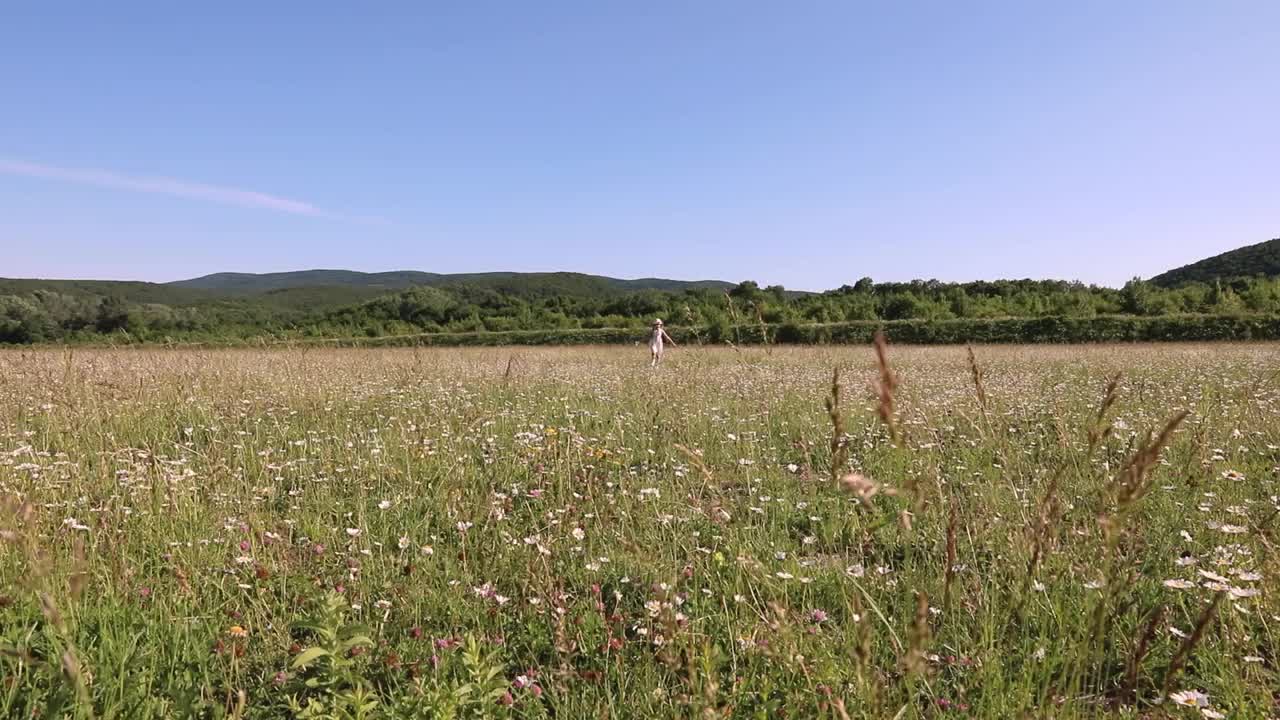 阳光明媚的夏天。漂亮的小女孩穿着裙子，手里拿着一束雏菊。孩子和野花。视频素材